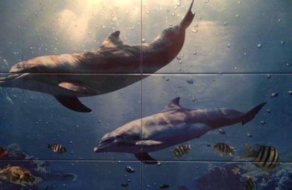Плитка Latina Dolfins