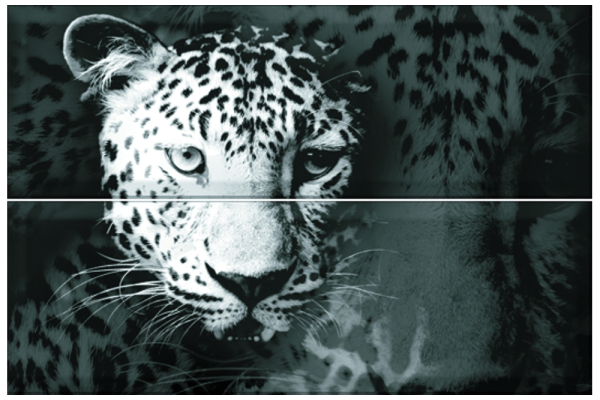 Панно Leopard (2) 30х45
