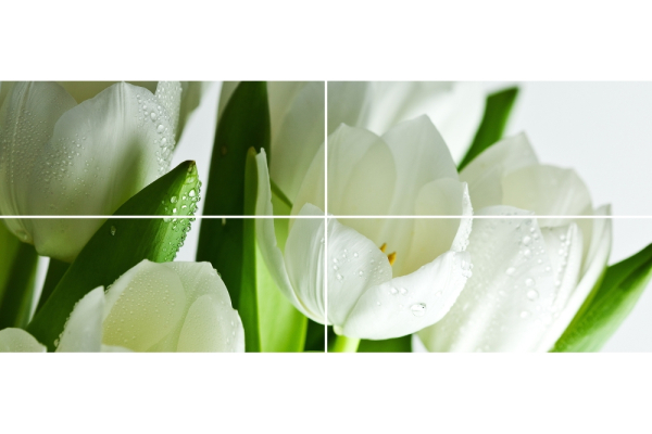 Панно Arco Digital Tulipany 50x120 (4)