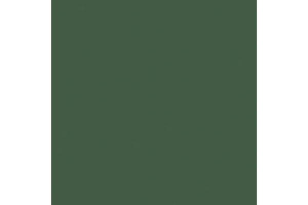 Пенал Kolpa San Alexis A 1462/15, зеленый