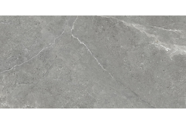 Керамогранит Artkera Group Titanium Gris 60х120 (1,44) GP60120TIA05M
