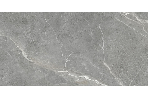 Керамогранит Artkera Group Titanium Gris 60х120 (1,44) GP60120TIA05M
