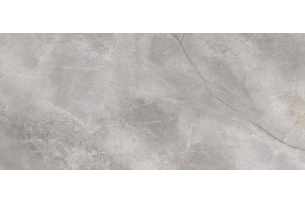 Керамогранит Cerrad Masterstone Silver Rect 119,7х279,7