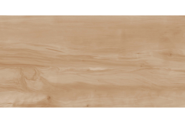 Керамогранит Realistik Paint Wood Bone Gloss 60x120 (1,44)