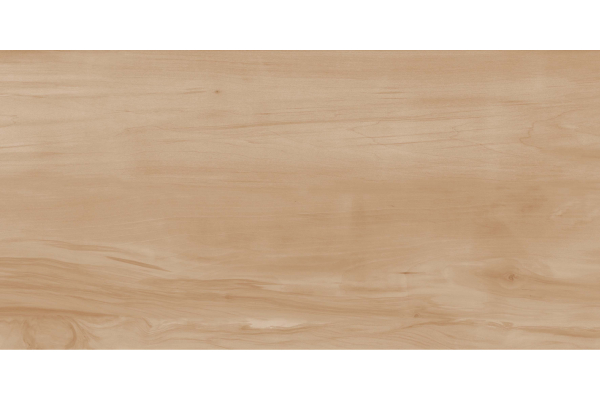 Керамогранит Realistik Paint Wood Bone Gloss 60x120 (1,44)