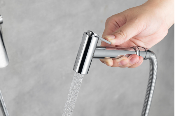 Душ гигиенический Aquatek Вега AQ1019CR
