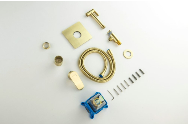 Душ гигиенический Aquatek Оберон AQ1219BG