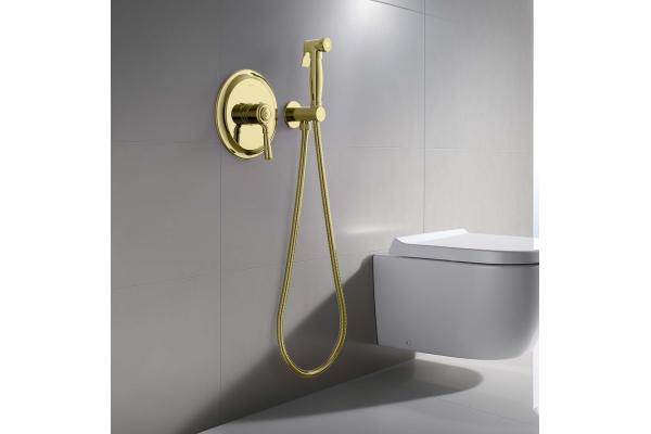 Душ гигиенический Aquatek Классик AQ1519PG