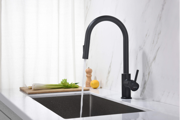 Смеситель для кухни Aquatek Европа с вытяжным изливом 2 jet AQ1384MB