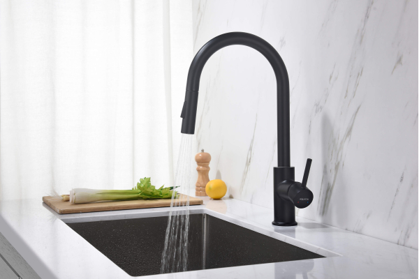 Смеситель для кухни Aquatek Европа с вытяжным изливом 2 jet AQ1384MB