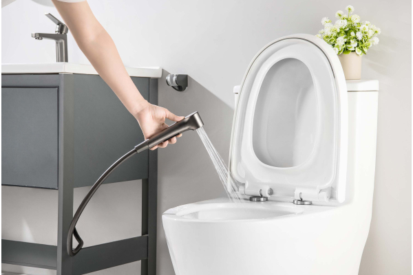 Смеситель для раковины Aquatek Лугано 106 с гигиеническим душем AQ1712BGM