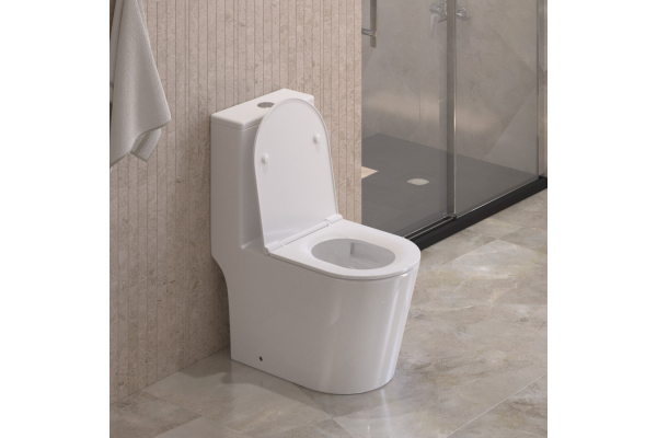 Унитаз-моноблок с сиденьем BelBagno Tornado Tre-Tor безободковый BB673CP-MN-TOR/SC