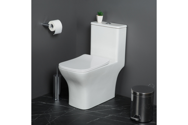 Унитаз-моноблок с сиденьем BelBagno Neon безободковый BB8617CPR-MN/SC