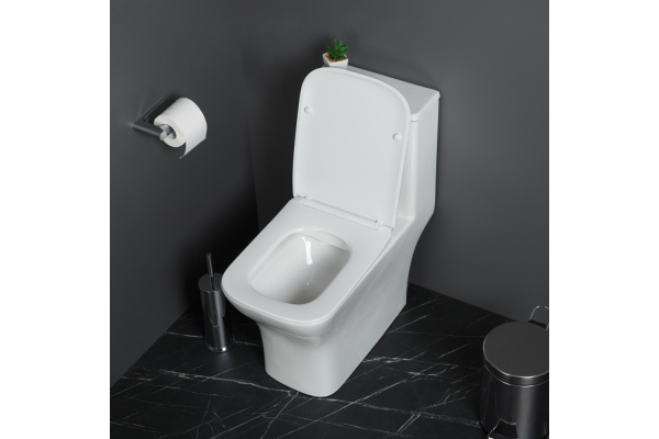 Унитаз-моноблок с сиденьем BelBagno Neon безободковый BB8617CPR-MN/SC