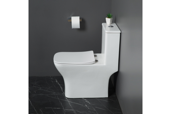 Унитаз-моноблок с сиденьем BelBagno Neon безободковый BB8617CPR-MN/SC