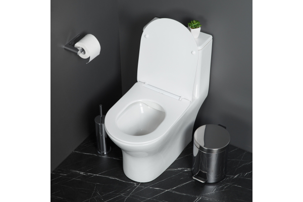 Унитаз-моноблок с сиденьем BelBagno Lounge безободковый BB8618CPR-MN/SC