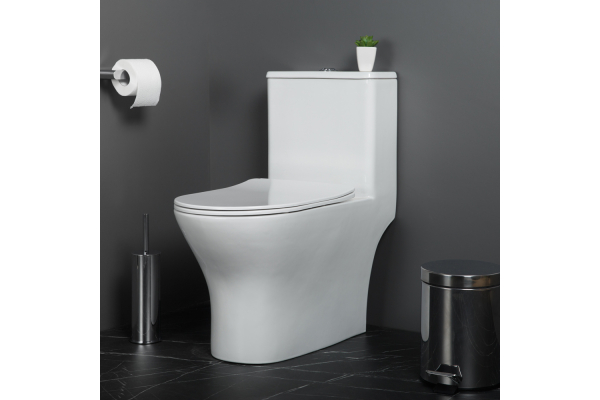 Унитаз-моноблок с сиденьем BelBagno Lounge безободковый BB8618CPR-MN/SC