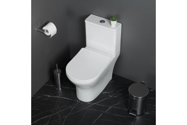 Унитаз-моноблок с сиденьем BelBagno Lounge безободковый BB8618CPR-MN/SC