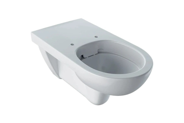 Унитаз подвесной Geberit Selnova Comfort Rimfree 70 500.262.01.1