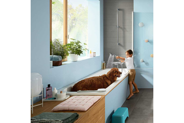 Термостат для ванны Hansgrohe Ecostat E 15774000