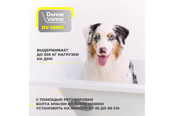 Стальная ванна ВИЗ Donna Vanna Сома 120х70 2,3мм о/п 21200