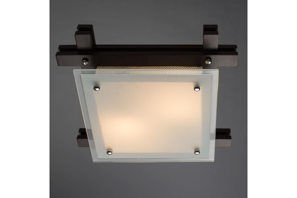 Потолочный светильник Arte Lamp Archimede A6462PL-2CK