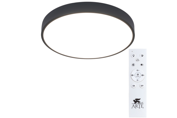 Потолочный светильник Arte Lamp Arena A2661PL-1BK