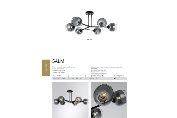 Потолочный светильник Arte Lamp Salm A3580PL-6BK