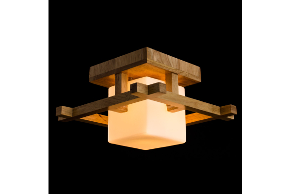 Потолочный светильник Arte Lamp Woods A8252PL-1BR