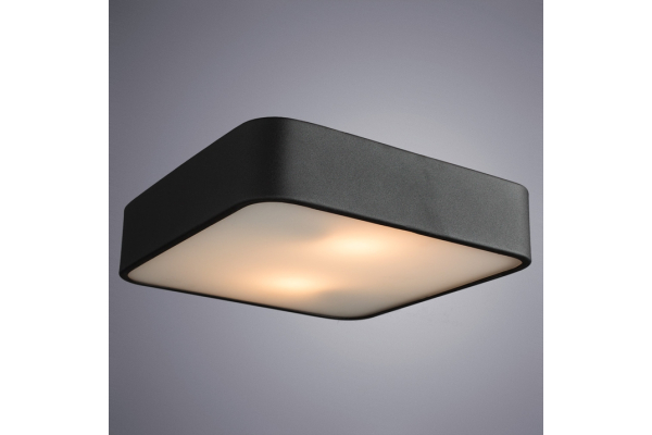 Потолочный светильник Arte Lamp Cosmopolitan A7210PL-2BK