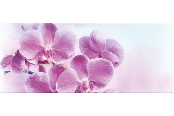 Декор от панно Japanese Garden Flower - 1(3) 50x20